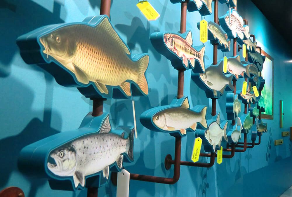 AqualisLac du Bourget[Exposition permanente]